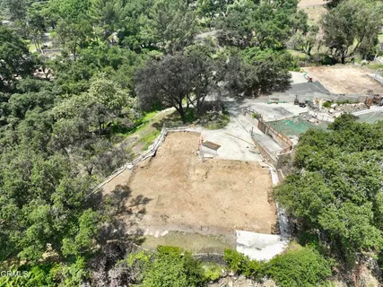 a view of a yard with trees