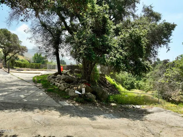 a view of a park with large trees