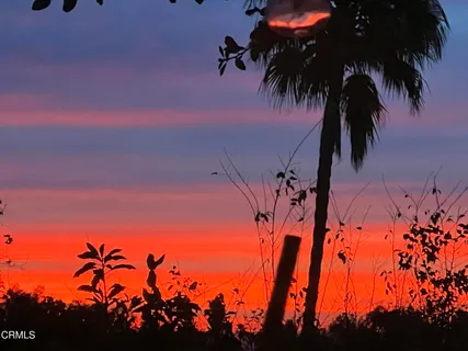 a view of a house in a yard