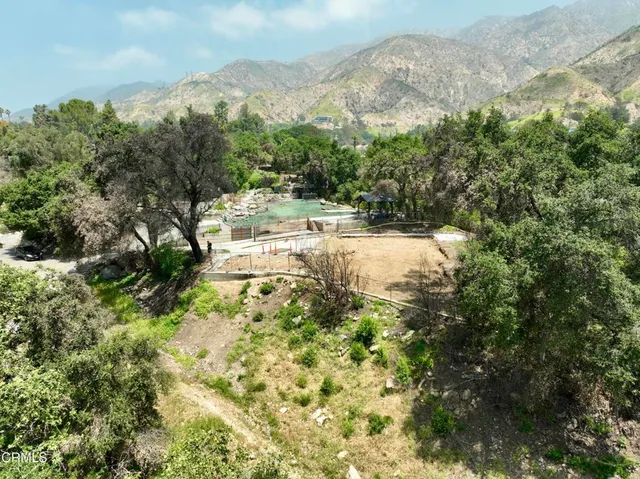 a view of a yard with a mountain