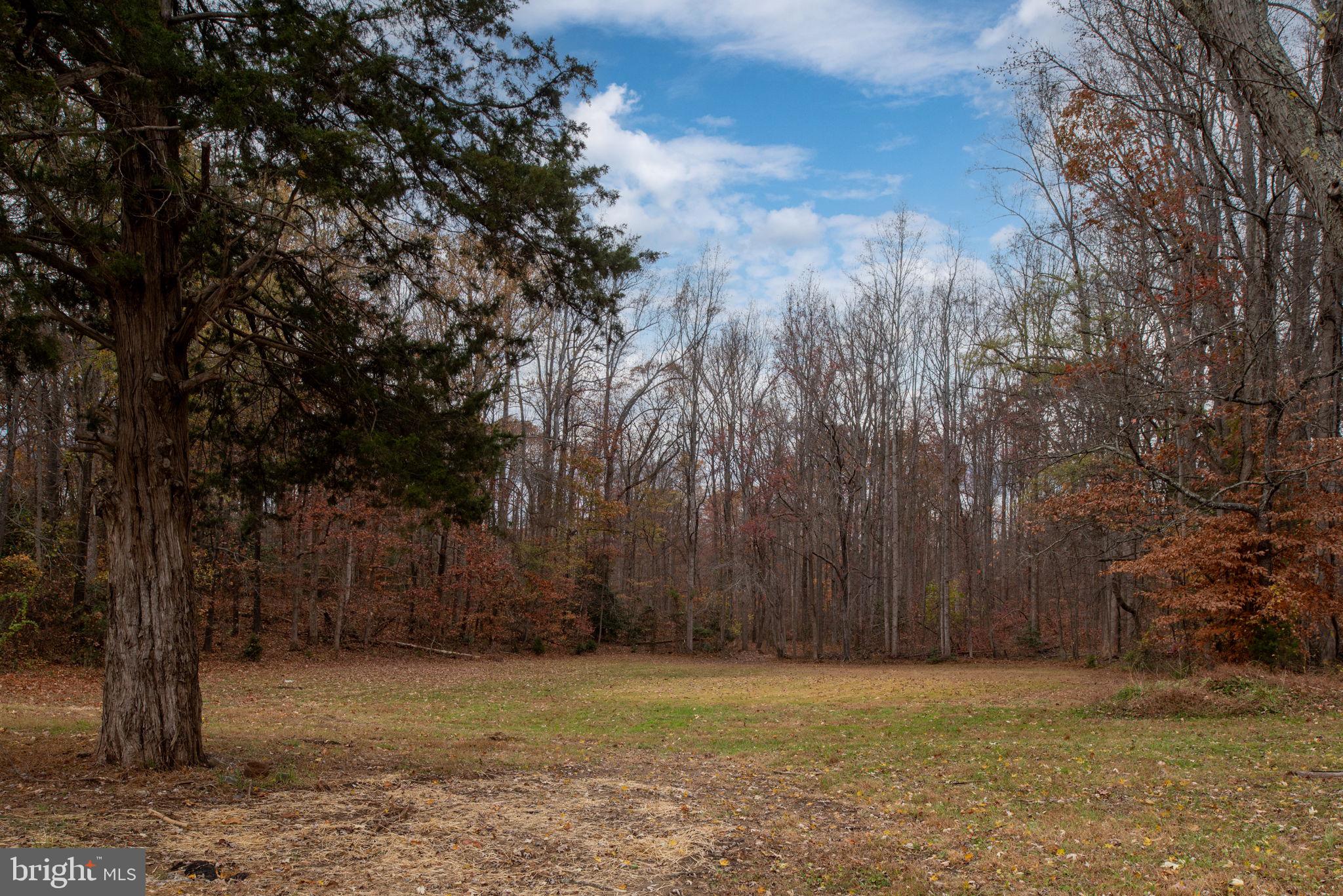 135 Morton Road Fredericksburg, VA 22405 - Photo 36 of 42 Gallery Image 36