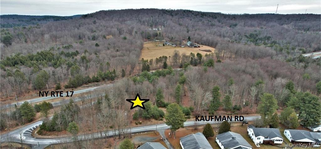 Lot 5.4 Kaufman Road Monticello, NY 12701 - Photo 5 of 45