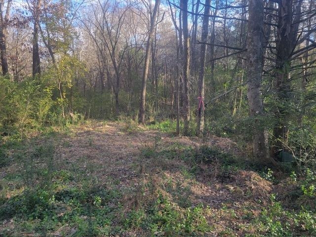 Kay Lane Somerville, TN 38068 - Photo 6 of 19 a view of forest