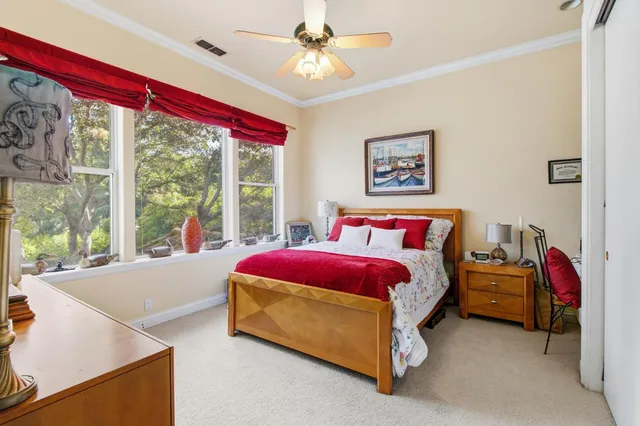 a view of a yard with plants and trees