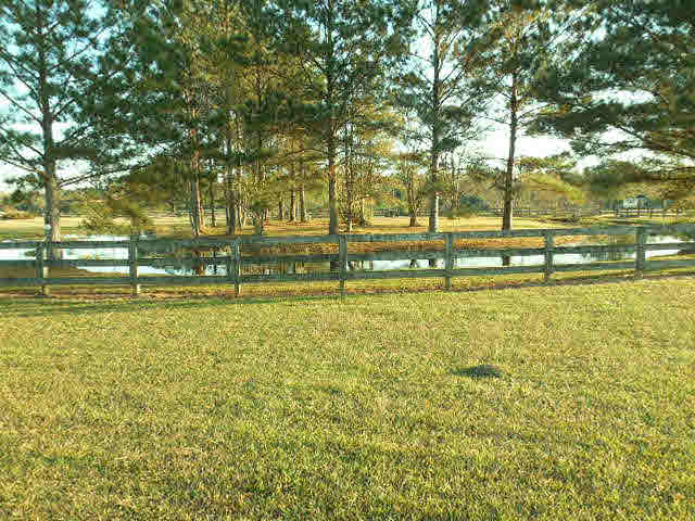 16464 Danne Road Fairhope, AL 36532 - Photo 14 of 14