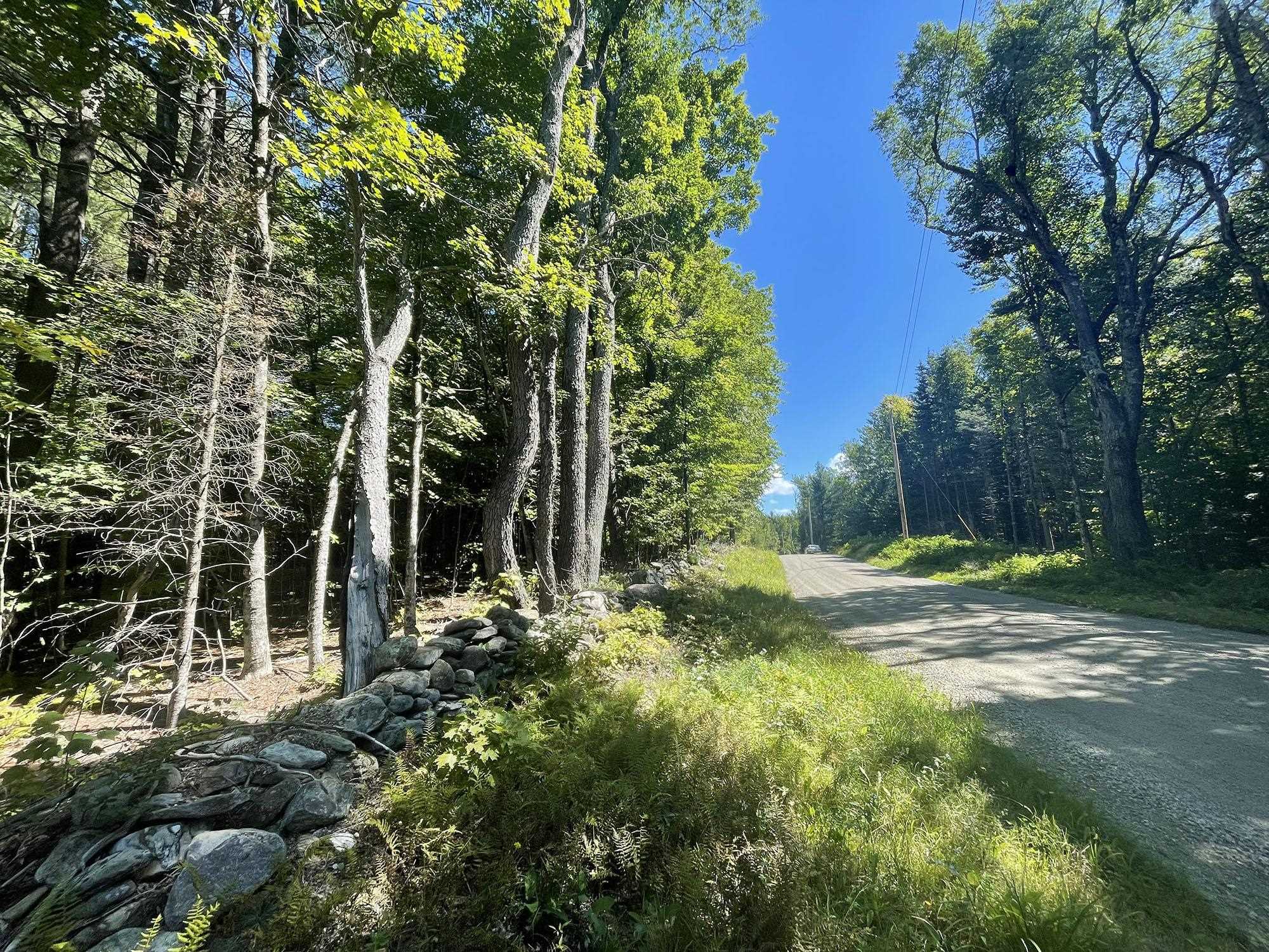 0 McMillan Road Jacksonville, VT 05342 - Photo 1 of 18