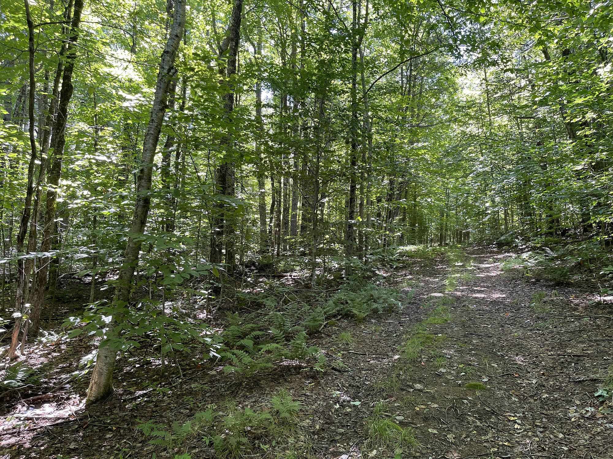 0 McMillan Road Jacksonville, VT 05342 - Photo 6 of 18