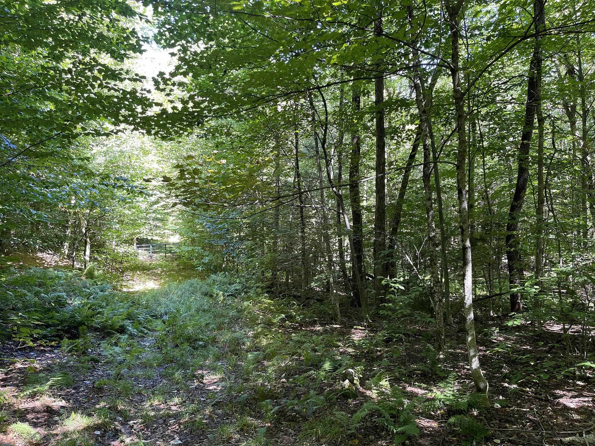 0 McMillan Road Jacksonville, VT 05342 - Photo 7 of 18