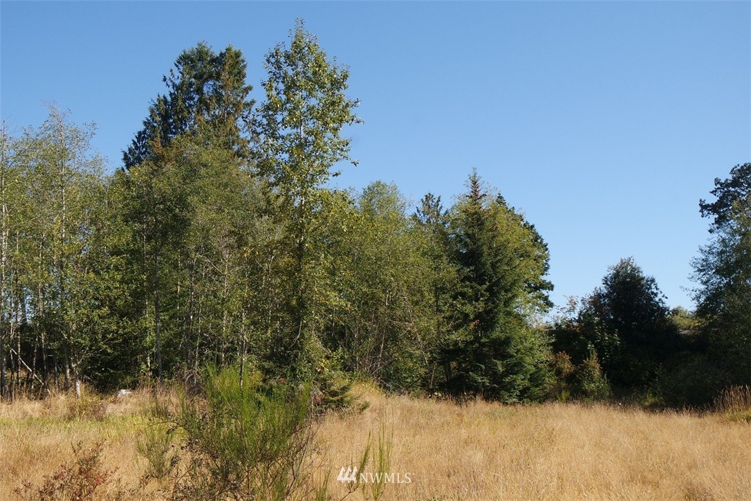 155 Storm Road Castle Rock, WA 98611 - Photo 13 of 25 Gallery Image 13