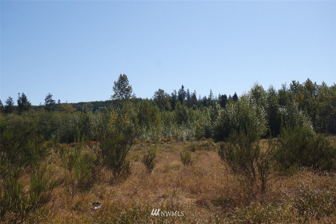 155 Storm Road Castle Rock, WA 98611 - Photo 14 of 25 Gallery Image 14