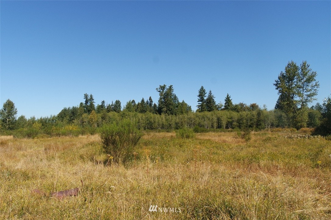 155 Storm Road Castle Rock, WA 98611 - Photo 22 of 25 Gallery Image 22