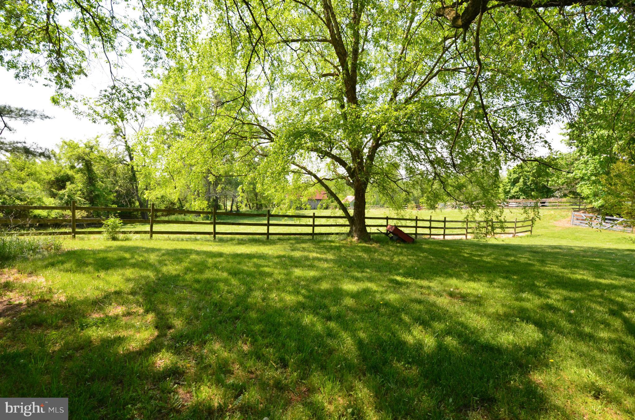 1071 Lower Pindell Road Lothian, MD 20711 - Photo 13 of 26 Exterior (Rear)
