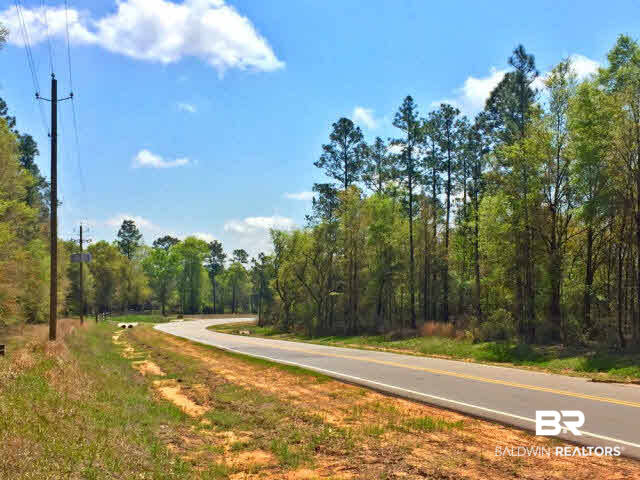 0 South Grand Bay Wilmer Road Wilmer, AL 36587 - Photo 6 of 18