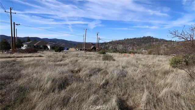 a view of a dry yard