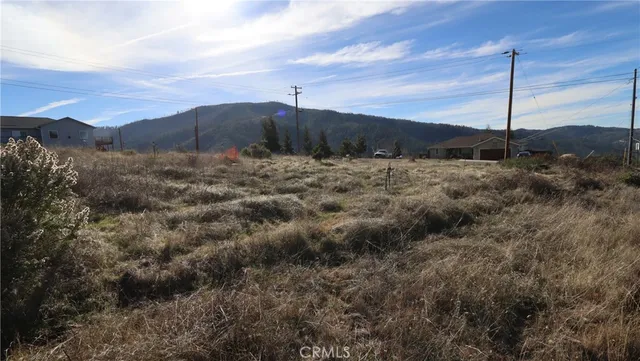 a view of a dry yard