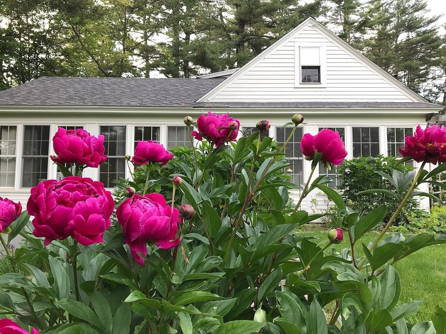 750 Fort Hill Road Gorham, ME 04038 - Photo 49 of 53 Gardens in Bloom