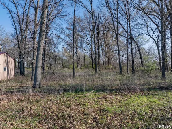 a view of backyard with green space