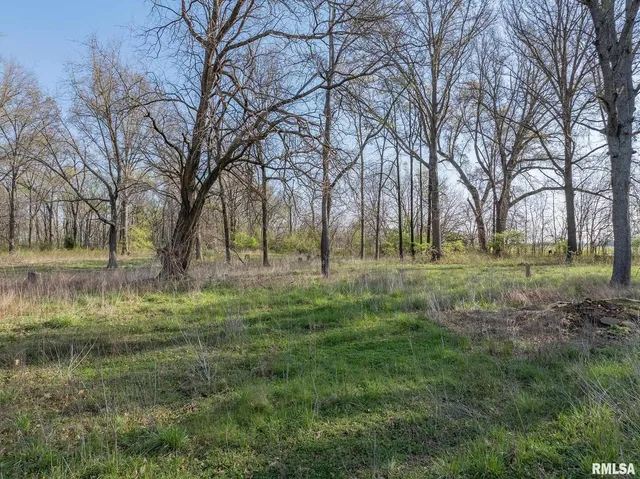 a view of outdoor space with trees all around