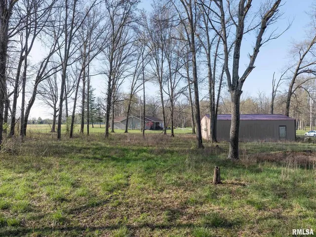 a view of outdoor space with trees
