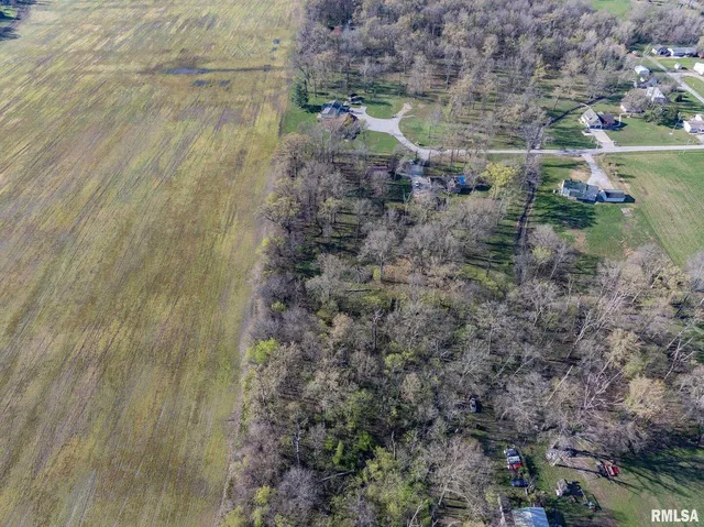 a view of a yard with trees