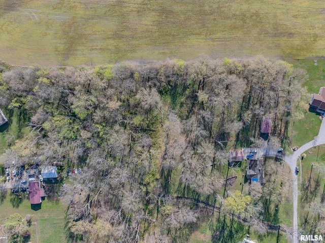 a view of a lake with large trees
