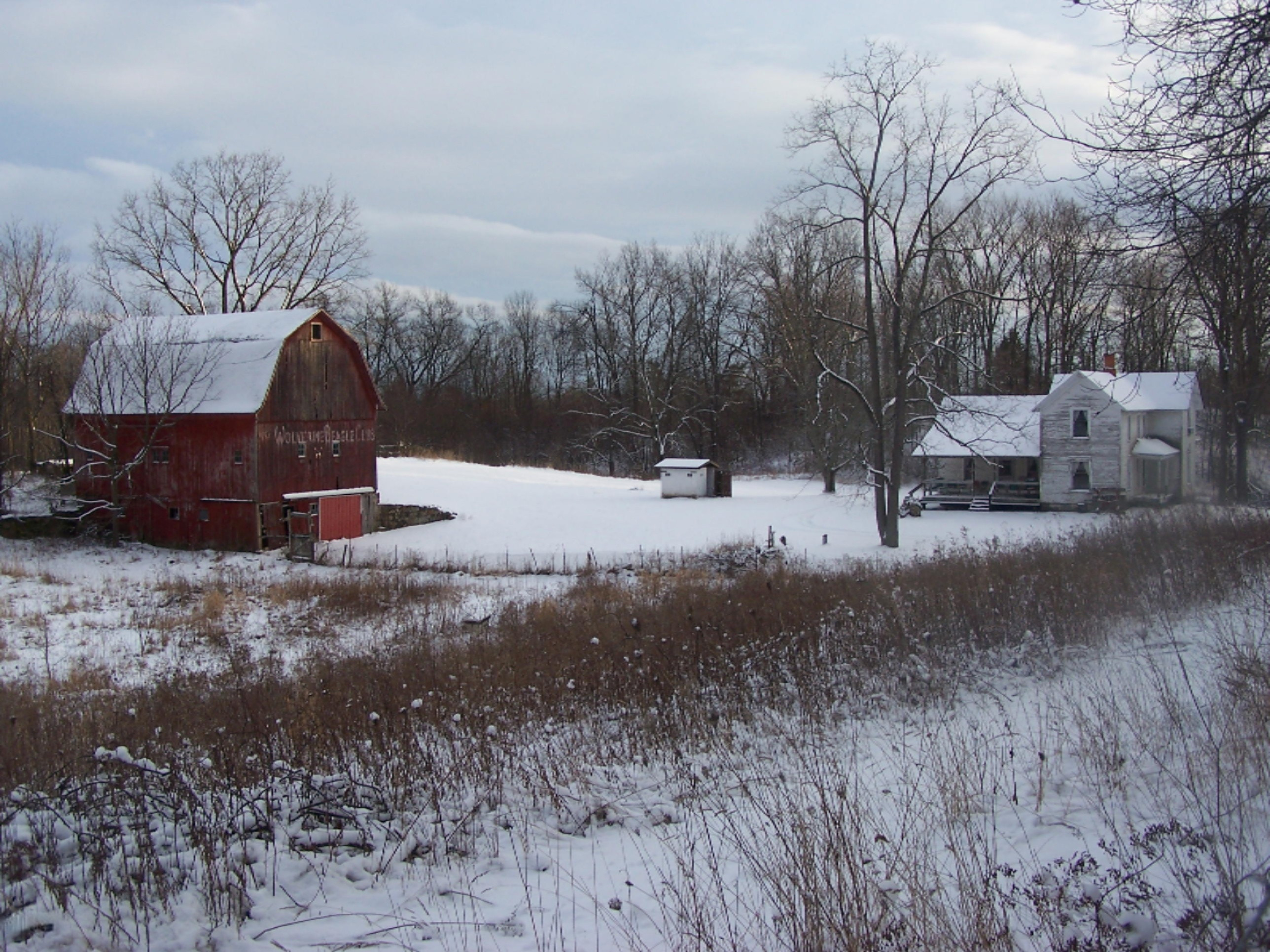 3100 Hammond Road Hastings, MI 49058 - Photo 1 of 41 100_7208