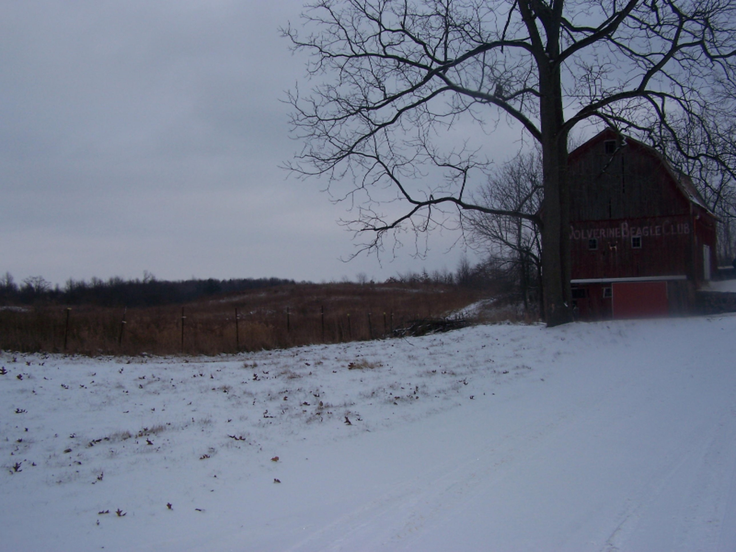3100 Hammond Road Hastings, MI 49058 - Photo 8 of 41 100_7178