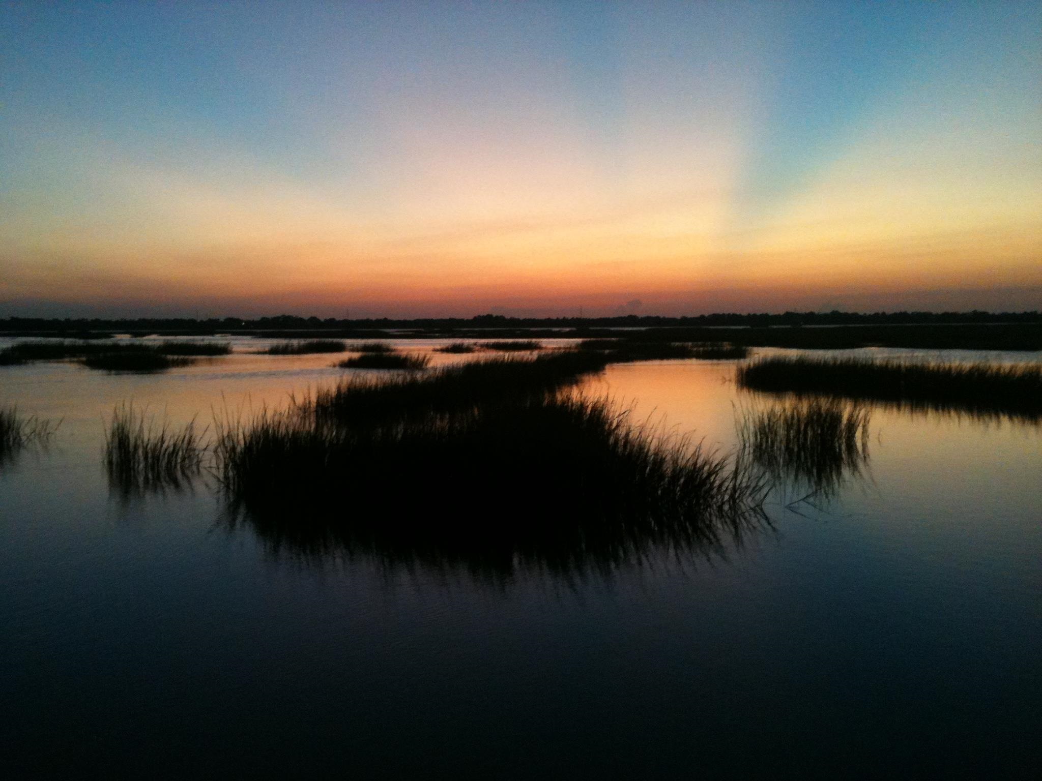143 Egret Road St. Augustine, FL 32086 - Photo 47 of 55