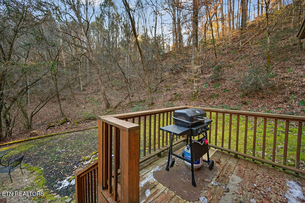 1525 Walt Price Road Sevierville, TN 37876 - Photo 28 of 29 DSC_8106