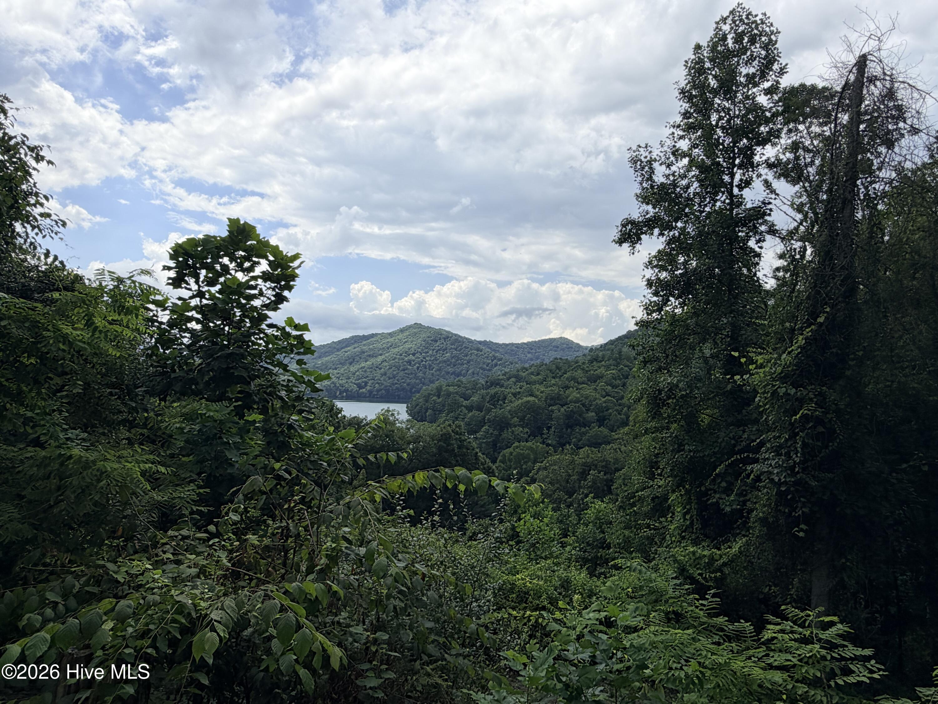 227 Aquone Overlook Ridge Topton, NC 28781 - Photo 2 of 31 Gallery Image 2