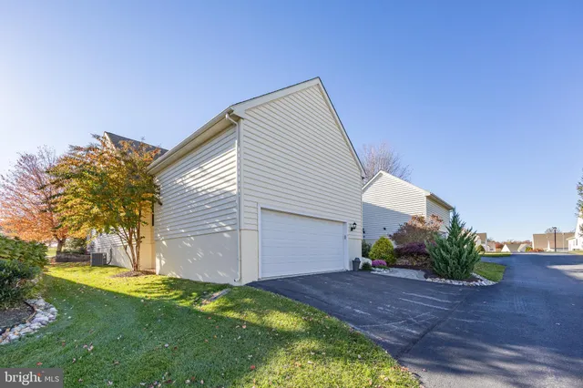 a view of a backyard with plants and a garden