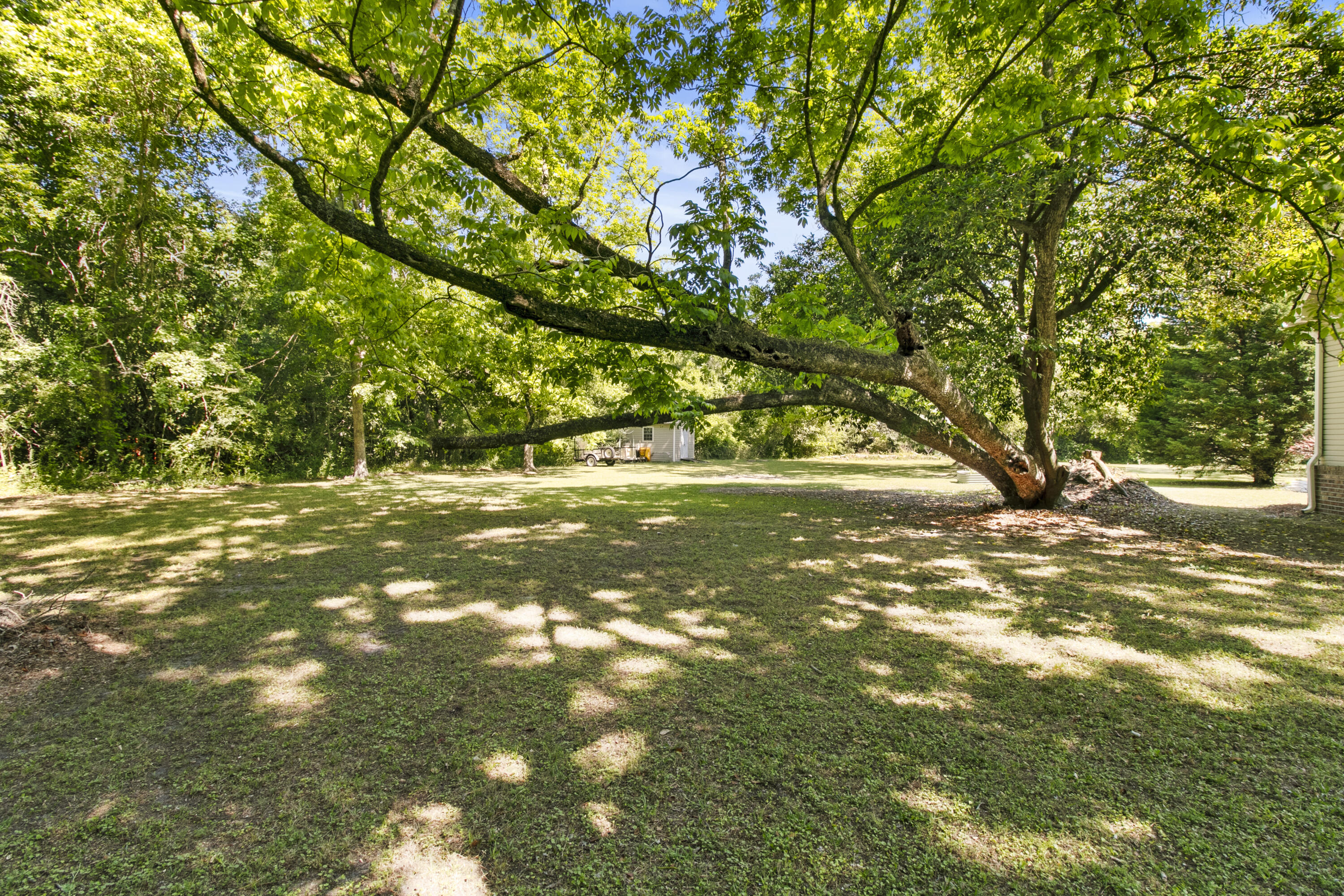 643 Broughton Road Moncks Corner, SC 29461 - Photo 8 of 74 IMG_8748
