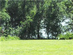 9 Cedar Point Road Bumpus Mills, TN 37028 - Photo 1 of 7 Nice gentle slope to the water.