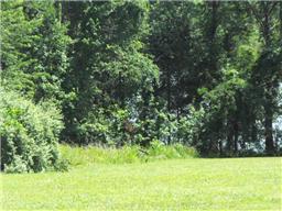 9 Cedar Point Road Bumpus Mills, TN 37028 - Photo 2 of 7 Beautiful views!