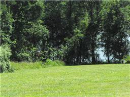 9 Cedar Point Road Bumpus Mills, TN 37028 - Photo 5 of 7 Gallery Image 5