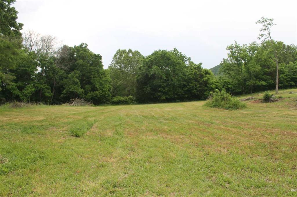 6 Rhodes Road New Market, TN 37820 - Photo 2 of 10 acres2