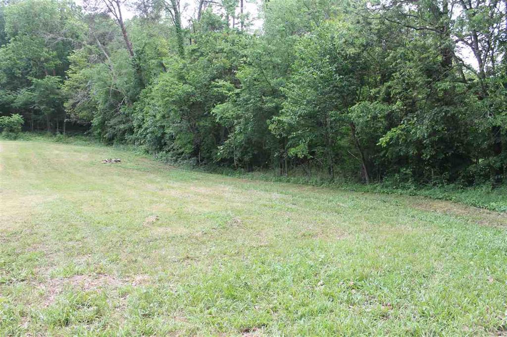 6 Rhodes Road New Market, TN 37820 - Photo 3 of 10 acres3