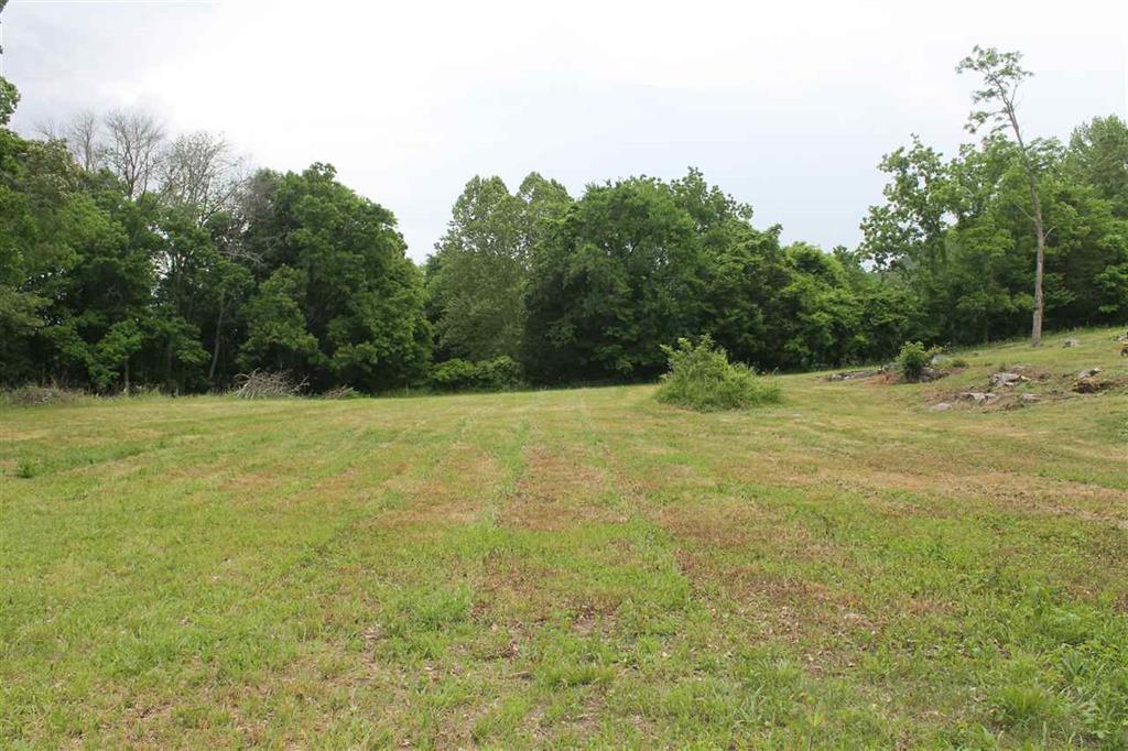6 Rhodes Road New Market, TN 37820 - Photo 4 of 10 acres4JPG