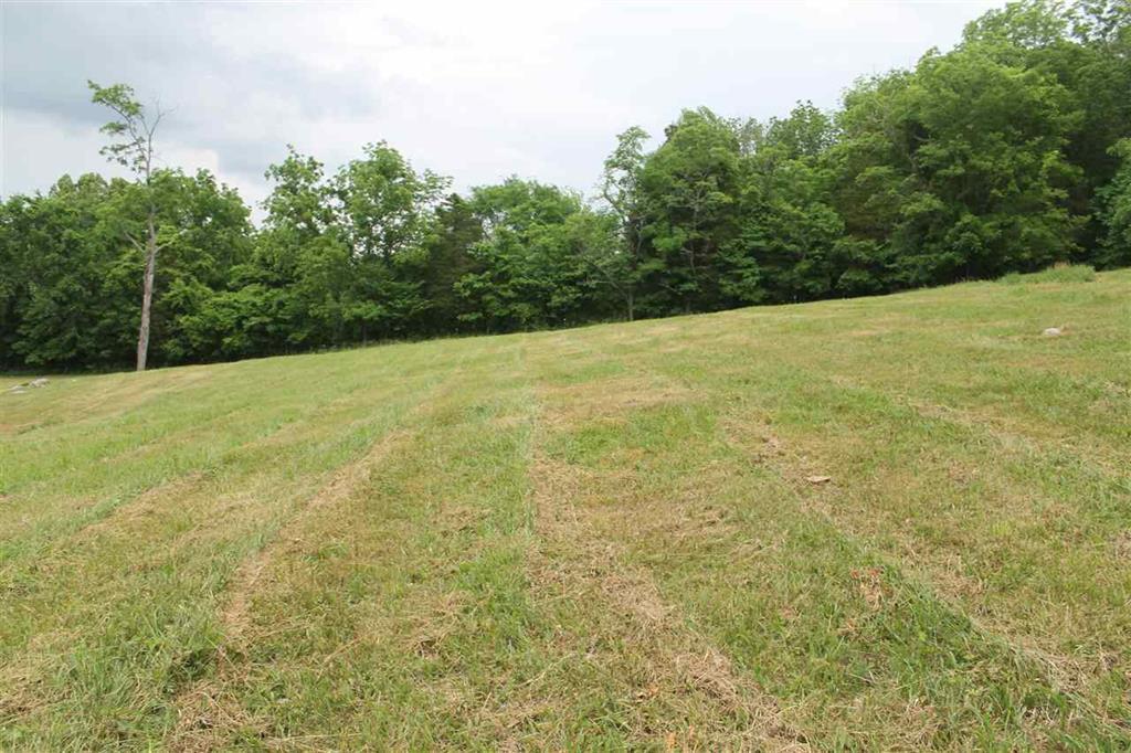 6 Rhodes Road New Market, TN 37820 - Photo 5 of 10 sloping acres