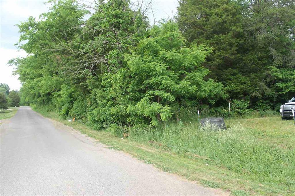 6 Rhodes Road New Market, TN 37820 - Photo 6 of 10 road front