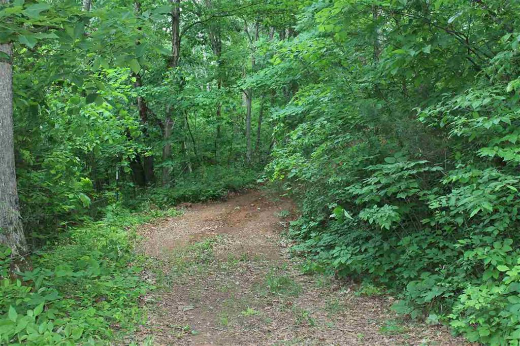 6 Rhodes Road New Market, TN 37820 - Photo 9 of 10 woods drvewy