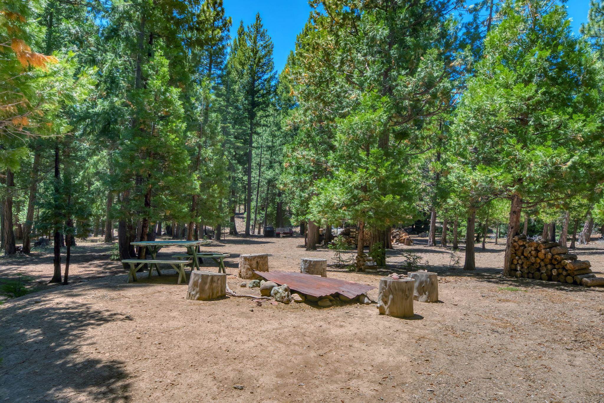 69467 Chipmunk Road Blairsden, CA 96103 - Photo 40 of 50