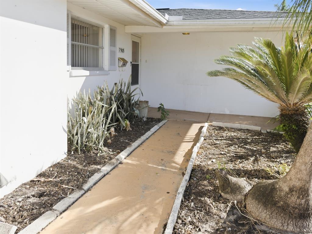 7903 Valmy Lane Port Richey, FL 34668 - Photo 5 of 40 a vase of flowers sitting on a table
