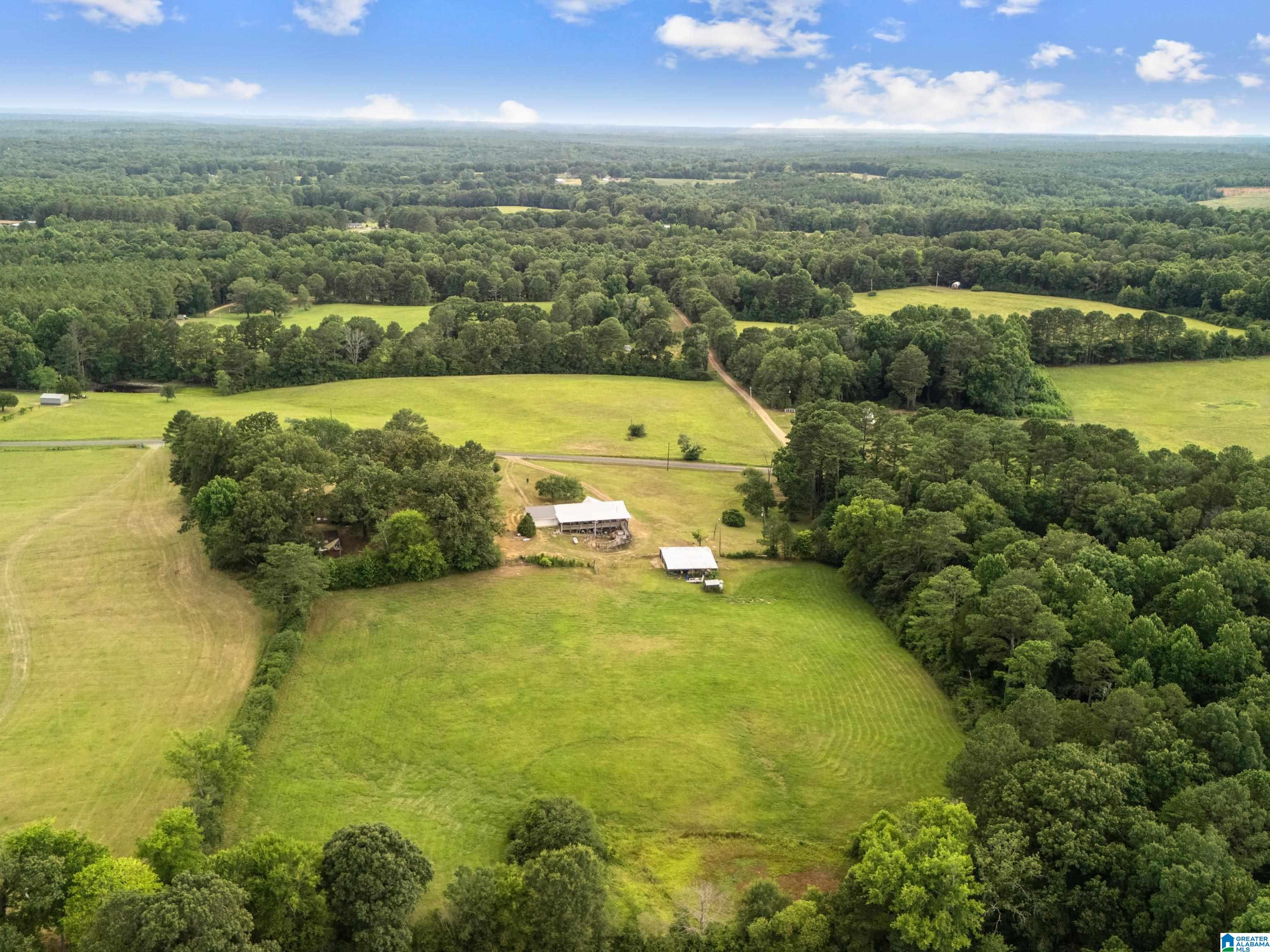 720 Fred Farley Road Jasper, AL 35503 - Photo 40 of 42