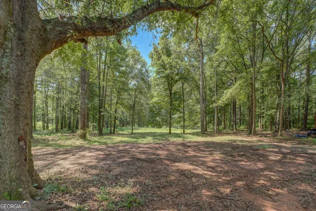 a view of outdoor space with trees all around
