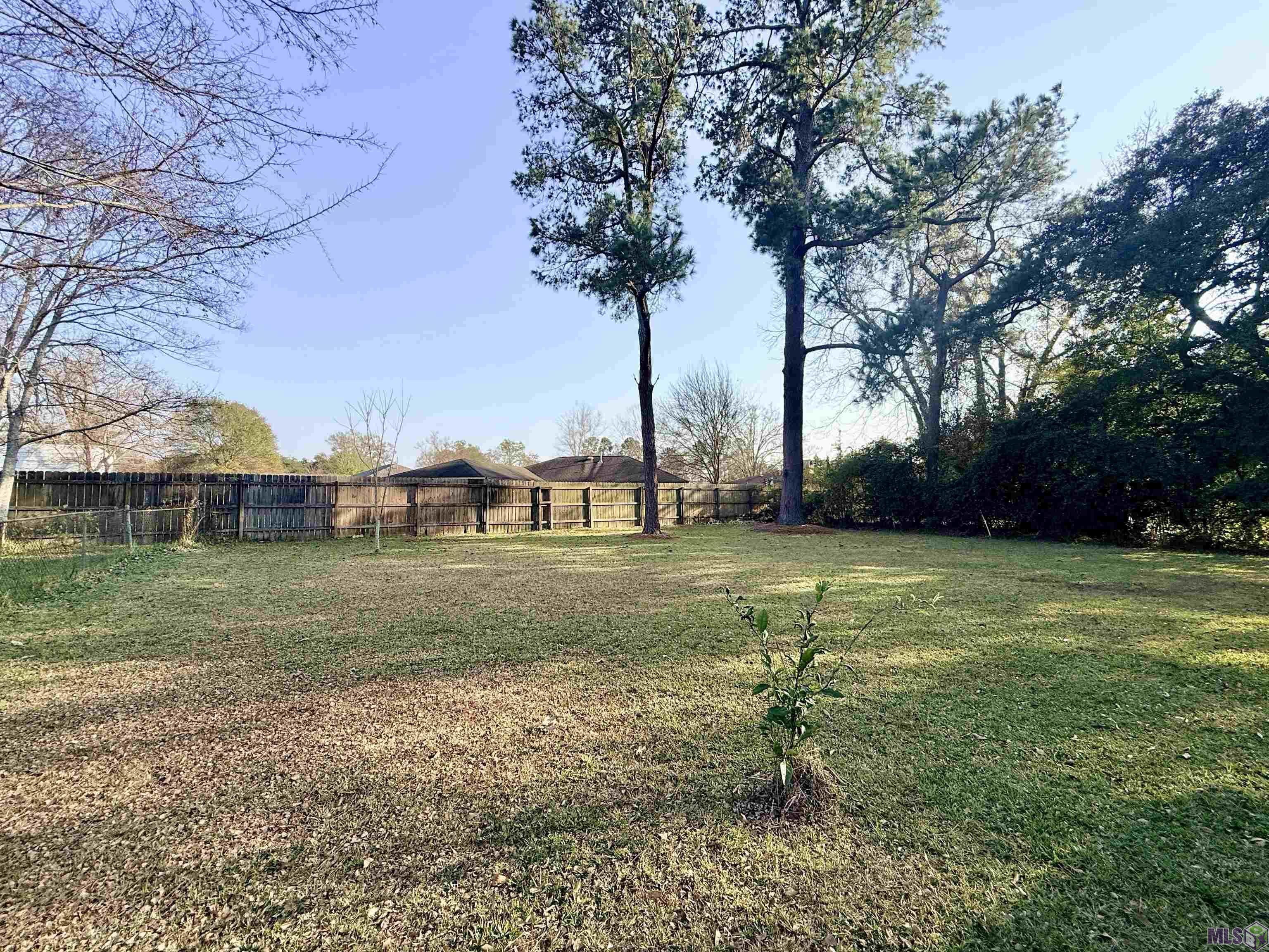 824 Highland Park Drive Baton Rouge, LA 70808 - Photo 11 of 11