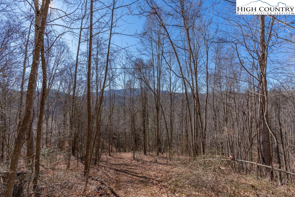 a view of wooden fence