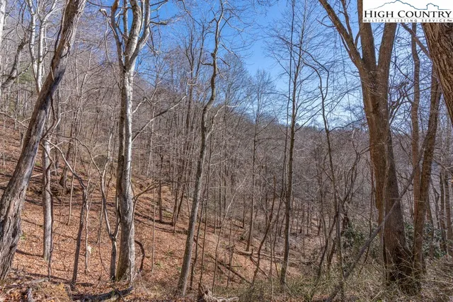 a view of a dry back yard