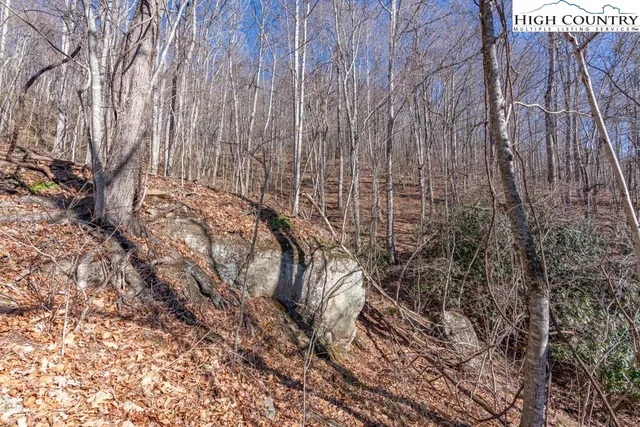 a view of a yard with plants and wooden fence