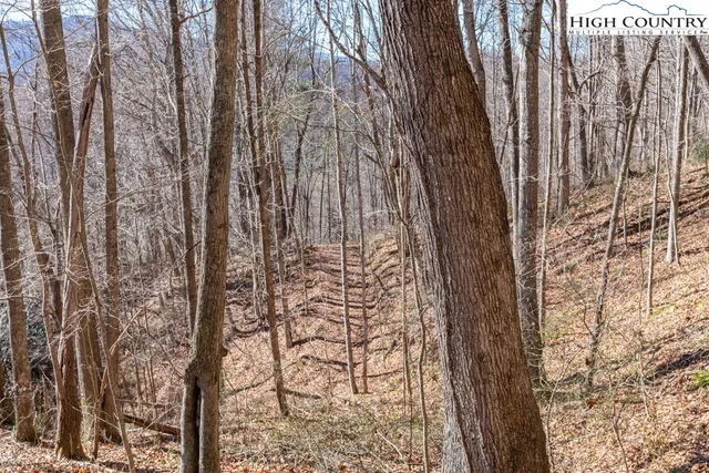 a view of a house with a mountain